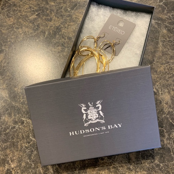 Jewelry Bundle Lia Sophia Necklaces and Etereo Earrings - Picture 7 of 7